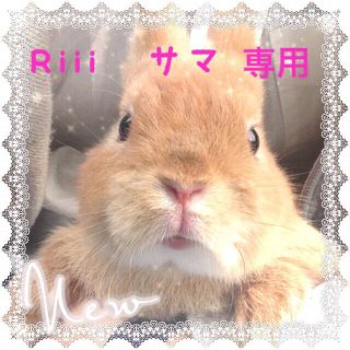 Riii♥︎様専用  一週間 お取り置き(モバイルケース/カバー)