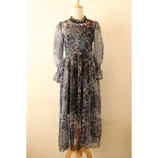 kana様 専用ラウンドネック シフォンドレス ロングスカート レディースのフォーマル/ドレス(ロングドレス)の商品写真