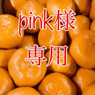 pink様専用  みかん10kg  (フルーツ)