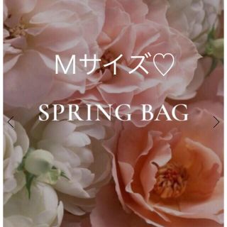 エイミーイストワール(eimy istoire)のhappybag♡(その他)