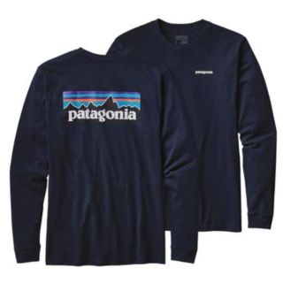 パタゴニア(patagonia)のpatagonia Tシャツ(Tシャツ/カットソー(七分/長袖))