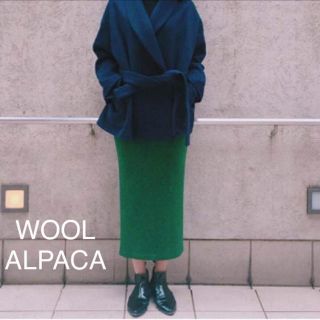 グリード(GREED)のGREED☆WOOL ALPACA スカート (ロングスカート)