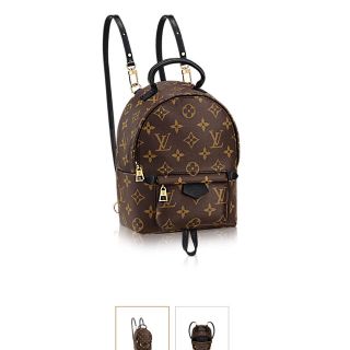 ルイヴィトン(LOUIS VUITTON)のルイヴィトン リュック(リュック/バックパック)