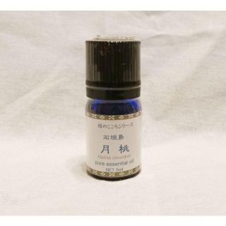 新品☆石垣島月桃☆エッセンシャルオイルの通販 by pistachio's 新品☆石垣島月桃☆エッセンシャルオイルの通販 by pistachio's