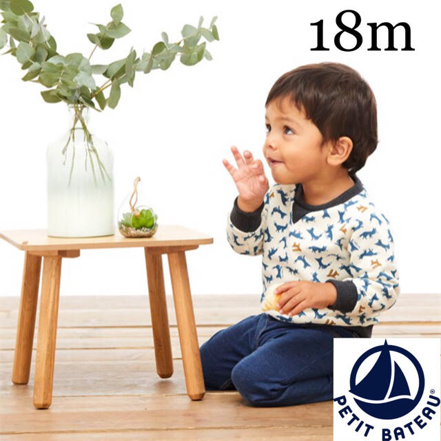 PETIT BATEAU(プチバトー)のtipe様専用☆18m4ans キッズ/ベビー/マタニティのベビー服(~85cm)(トレーナー)の商品写真