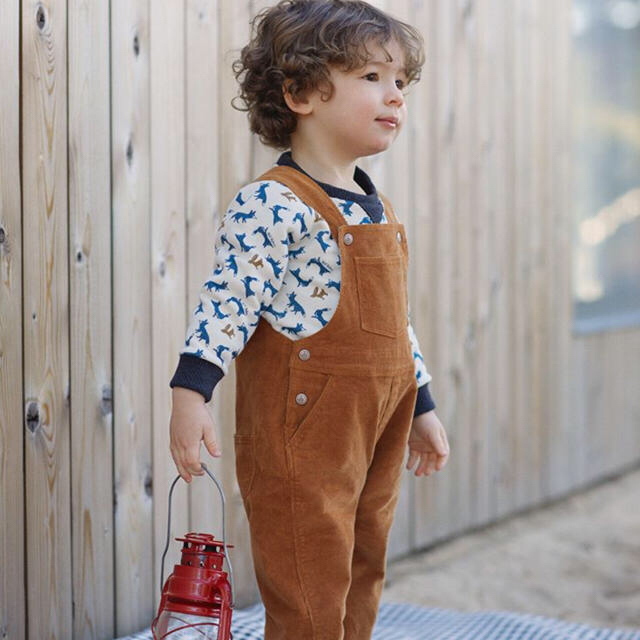 PETIT BATEAU(プチバトー)のtipe様専用☆18m4ans キッズ/ベビー/マタニティのベビー服(~85cm)(トレーナー)の商品写真