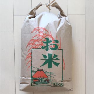 shiz様専用です(その他)