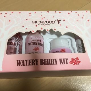 スキンフード(SKIN FOOD)のharu様専用 skinfood  watery berry kit(その他)