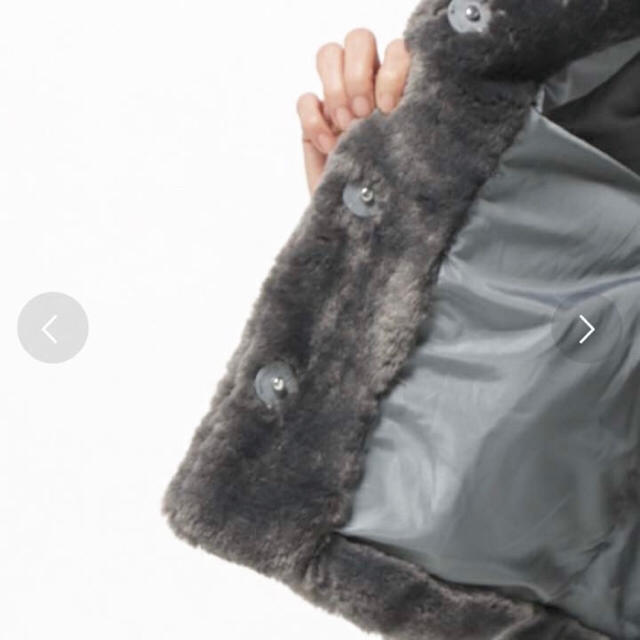 ???? fur coat 3