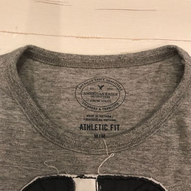 American Eagle(アメリカンイーグル)のアメリカンイーグル 半袖 Tシャツ Americaneagle 新品 メンズのトップス(その他)の商品写真