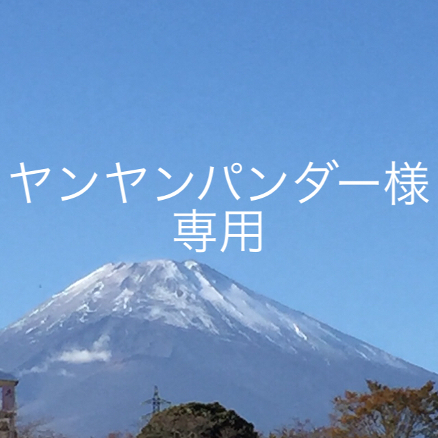 ラグビー7人制2ndジャージ（オリンピック使用）