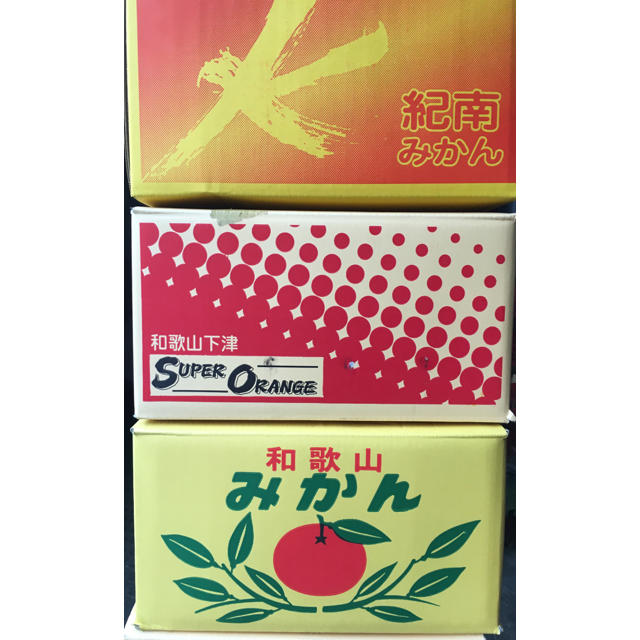 和歌山県 食品/飲料/酒の食品(フルーツ)の商品写真