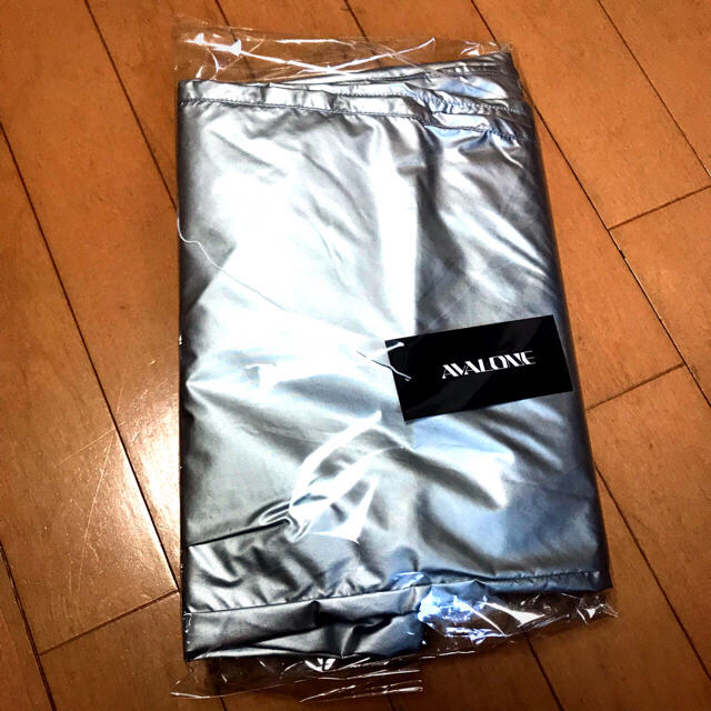 AVALONE SILVER NYLON TRACK PANTS メンズのパンツ(その他)の商品写真