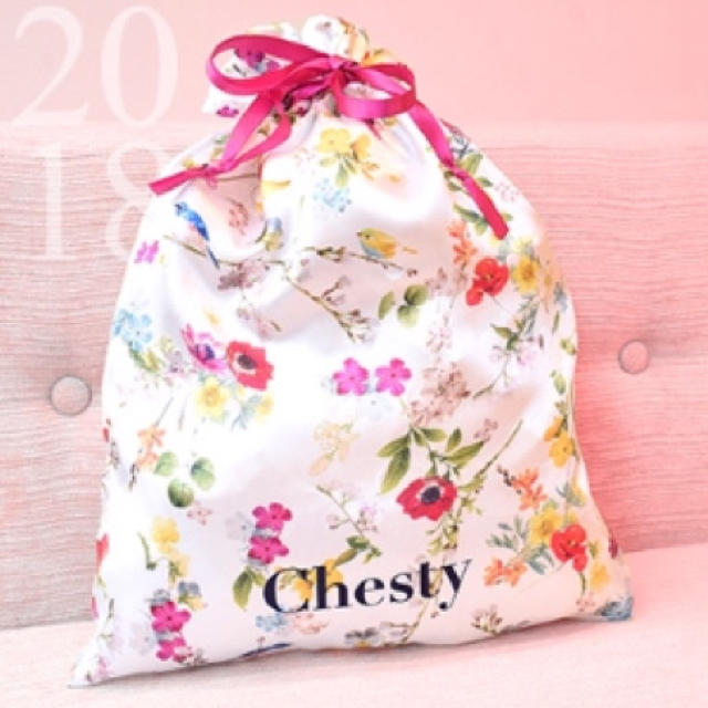 Chesty(チェスティ)のchasty❤︎非売品❤︎リボンきんちゃく❤︎ レディースのファッション小物(ポーチ)の商品写真