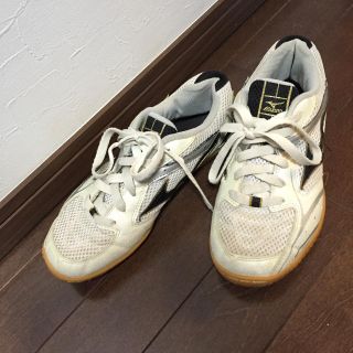 ミズノ(MIZUNO)のmizuno バレーボールシューズ(バレーボール)