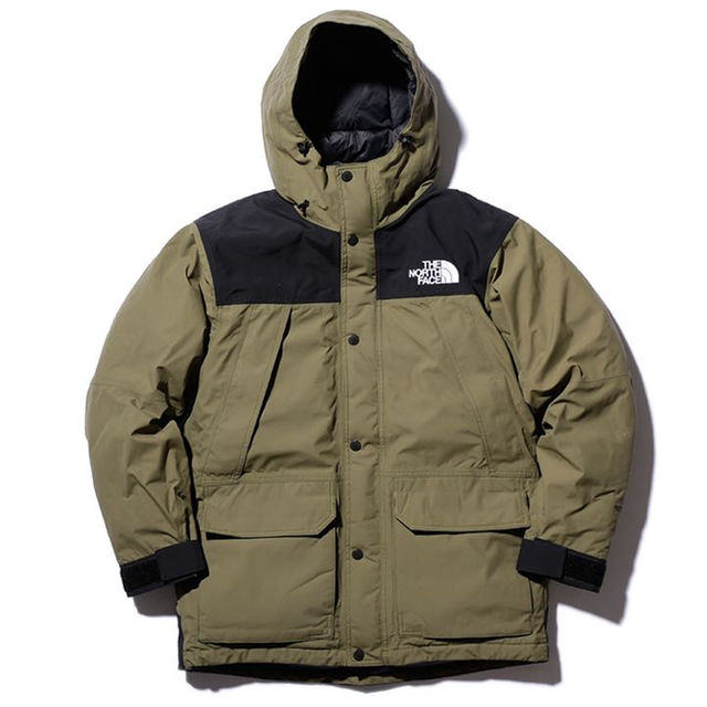 the north face Mountain down parka