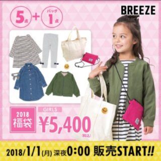 ブリーズ(BREEZE)の未開封 BREEZE 2018 福袋 女の子 110cm(その他)