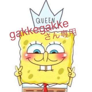 gakkegakkeさん専用(その他)