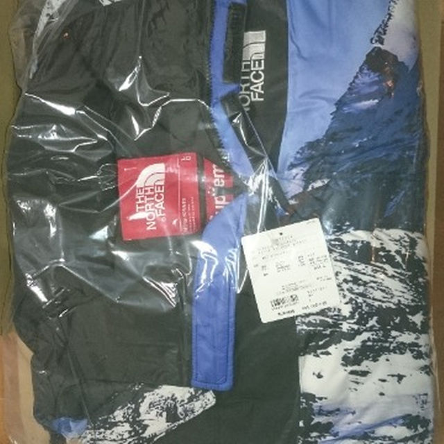Supreme(シュプリーム)のバルトロ　Supreme The North Face Mountain メンズのジャケット/アウター(ダウンジャケット)の商品写真