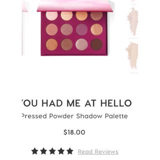 カラーポップ(colourpop)のカラーポップアイシャドウブラウンパレット美品！you had me hello(アイシャドウ)