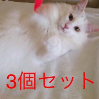 猫 おもちゃ モーラー    マジックモーラー    猫じゃらし 3個セット(猫)