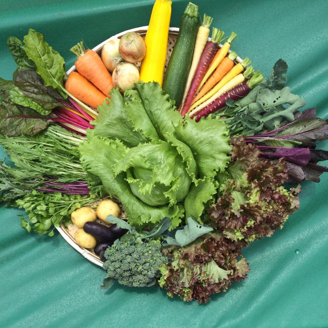 訳あり無農薬野菜セット 食品/飲料/酒の食品(野菜)の商品写真