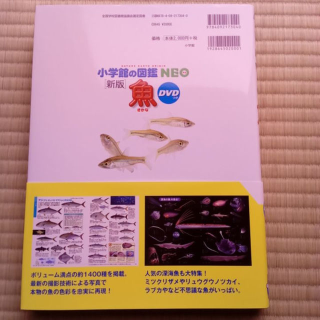 新品 小学館neo 新版 魚図鑑 ドラえもん魚dvd付の通販 By Kate S Shop ラクマ