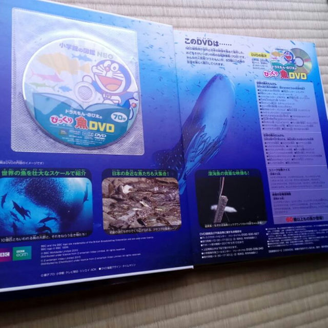 新品 小学館neo 新版 魚図鑑 ドラえもん魚dvd付の通販 By Kate S Shop ラクマ 新品 小学館neo 新版 魚図鑑 ドラえもん魚dvd付の通販 By Kate S Shop ラクマ