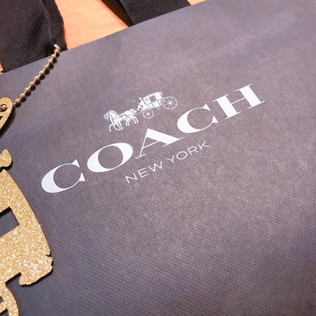 COACH(コーチ)の美品クリスマス限定品🌟COACHショップバッグ ゴールドチャーム付き レディースのバッグ(ショップ袋)の商品写真