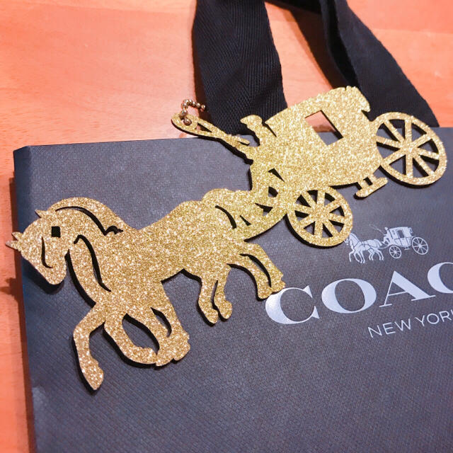 COACH(コーチ)の美品クリスマス限定品🌟COACHショップバッグ ゴールドチャーム付き レディースのバッグ(ショップ袋)の商品写真