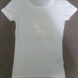 ホリスター(Hollister)のフラガール必見 ホリスターＨＯＬＬＩＳＴＥＲ ハイビスカス刺繍Ｔシャツ(その他)