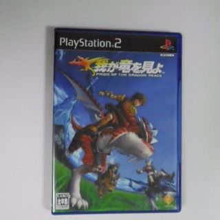 プレイステーション2(PlayStation2)のPS2　我が竜を見よ(家庭用ゲームソフト)