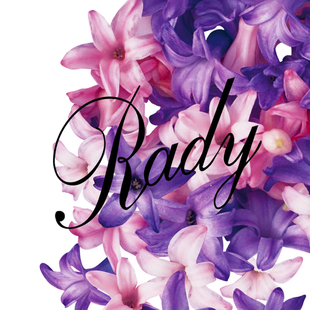 Rady(レディー)の♡Ray様専用♡Rady🎀ホテルシリーズ miniトート バッグ レディースのバッグ(トートバッグ)の商品写真