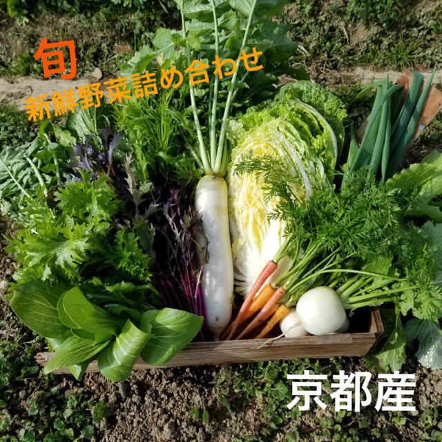 16日収穫、発送！無農薬野菜⚫︎減農薬野菜新鮮野菜詰め合わせ 食品/飲料/酒の食品(野菜)の商品写真