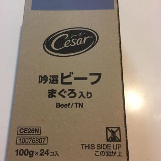 シーザー(CASAR)の【ciao♪様専用】お取り置き(ペットフード)