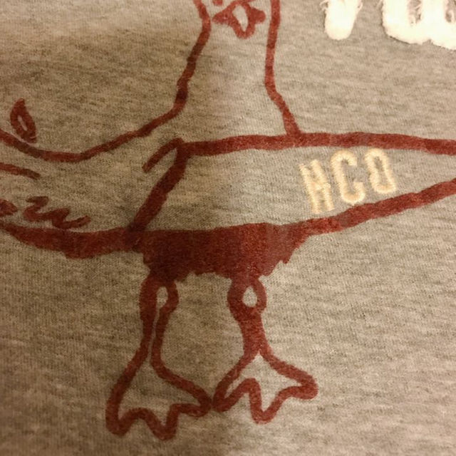 Hollister(ホリスター)のHOLLISTER Tシャツ レディースのトップス(その他)の商品写真