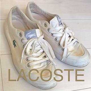 ラコステ(LACOSTE)のLACOSTE ラコステ キャンバススニーカー 難あり 値下げしました(スニーカー)