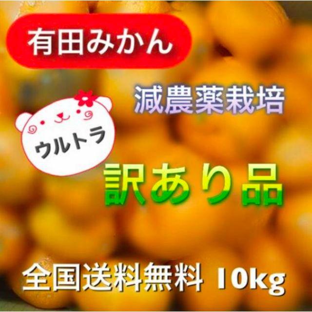 壇様専用【有田みかん】減農薬《特別企画》また血税をばらまきに外国へ 食品/飲料/酒の食品(フルーツ)の商品写真