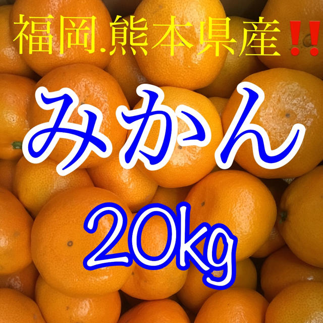 熊本県産 福岡県産 みかん20kg   食品/飲料/酒の食品(フルーツ)の商品写真