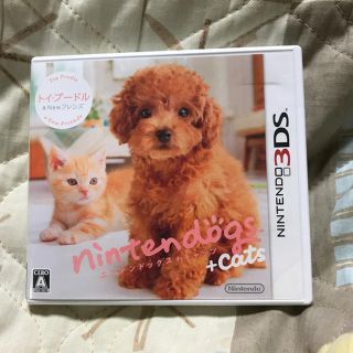 ニンテンドー3DS(ニンテンドー3DS)のニンテンドー3DS ソフト(携帯用ゲームソフト)