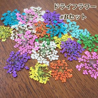 ネイル　小花　押し花　レースドライフラワーセット(デコパーツ)