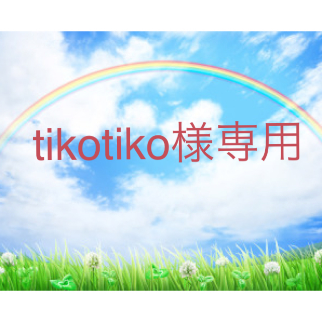 『tikotiko様専用』プラフィーユショコラ ホワイトミルク味 1箱 食品/飲料/酒の食品(菓子/デザート)の商品写真
