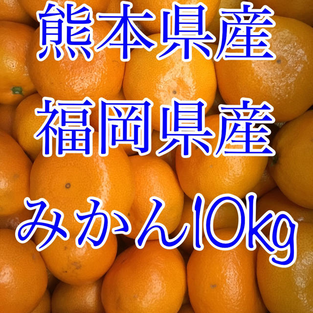 熊本県産 福岡県産 みかん10kg  食品/飲料/酒の食品(フルーツ)の商品写真