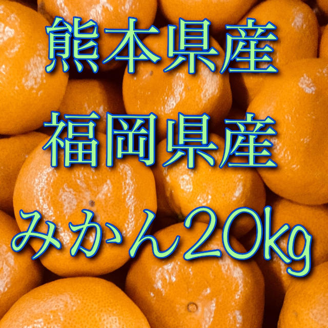 熊本県産 福岡県産 みかん20kg   食品/飲料/酒の食品(フルーツ)の商品写真