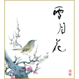 恵風　紅白梅 ー 雪月花　色紙　新品送料無料(その他)