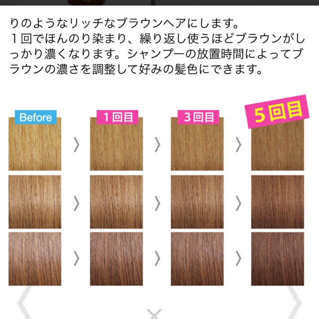 ロイド カラーシャンプー ★新品未使用★ リッチブラウン コスメ/美容のヘアケア/スタイリング(シャンプー)の商品写真