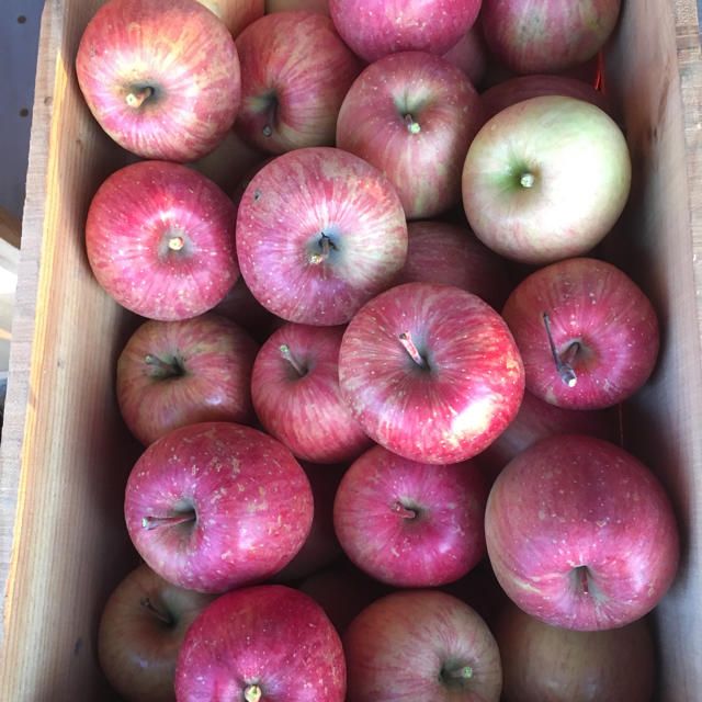 ラストです！青森県産りんご 葉とらずふじ5㌔以上！ 食品/飲料/酒の食品(フルーツ)の商品写真