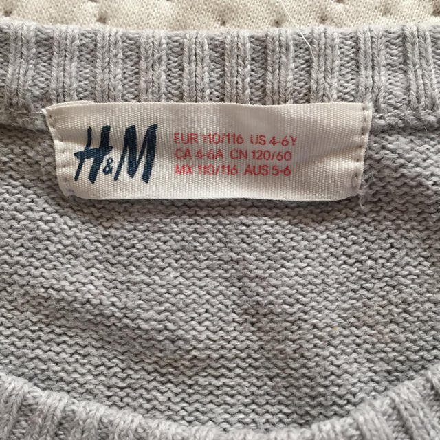 H&M(エイチアンドエム)のティラノサウルス？の綿ニットセーター キッズ/ベビー/マタニティのキッズ服男の子用(90cm~)(ニット)の商品写真