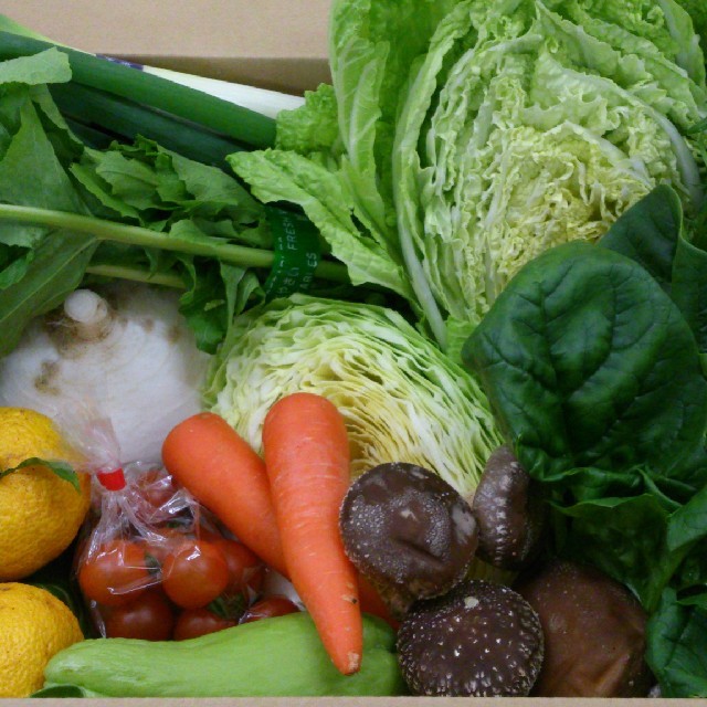 ☆嬉しい100サイズ☆岡山産　新鮮野菜 食品/飲料/酒の食品(野菜)の商品写真