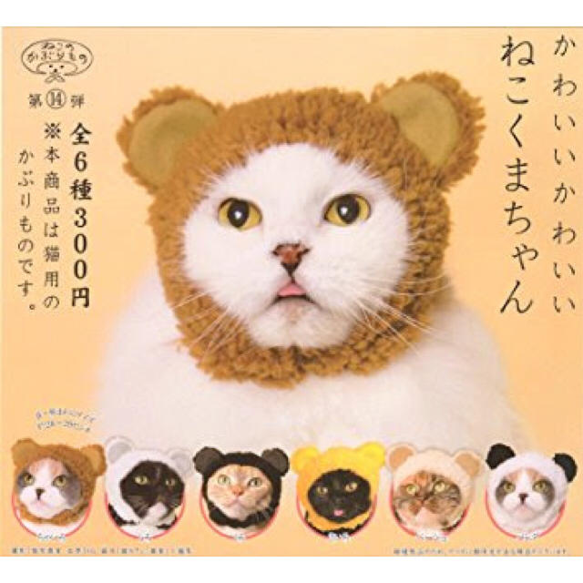 ねこくま 被り物セット その他のペット用品(猫)の商品写真